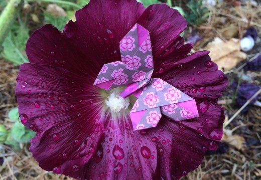 Origami
